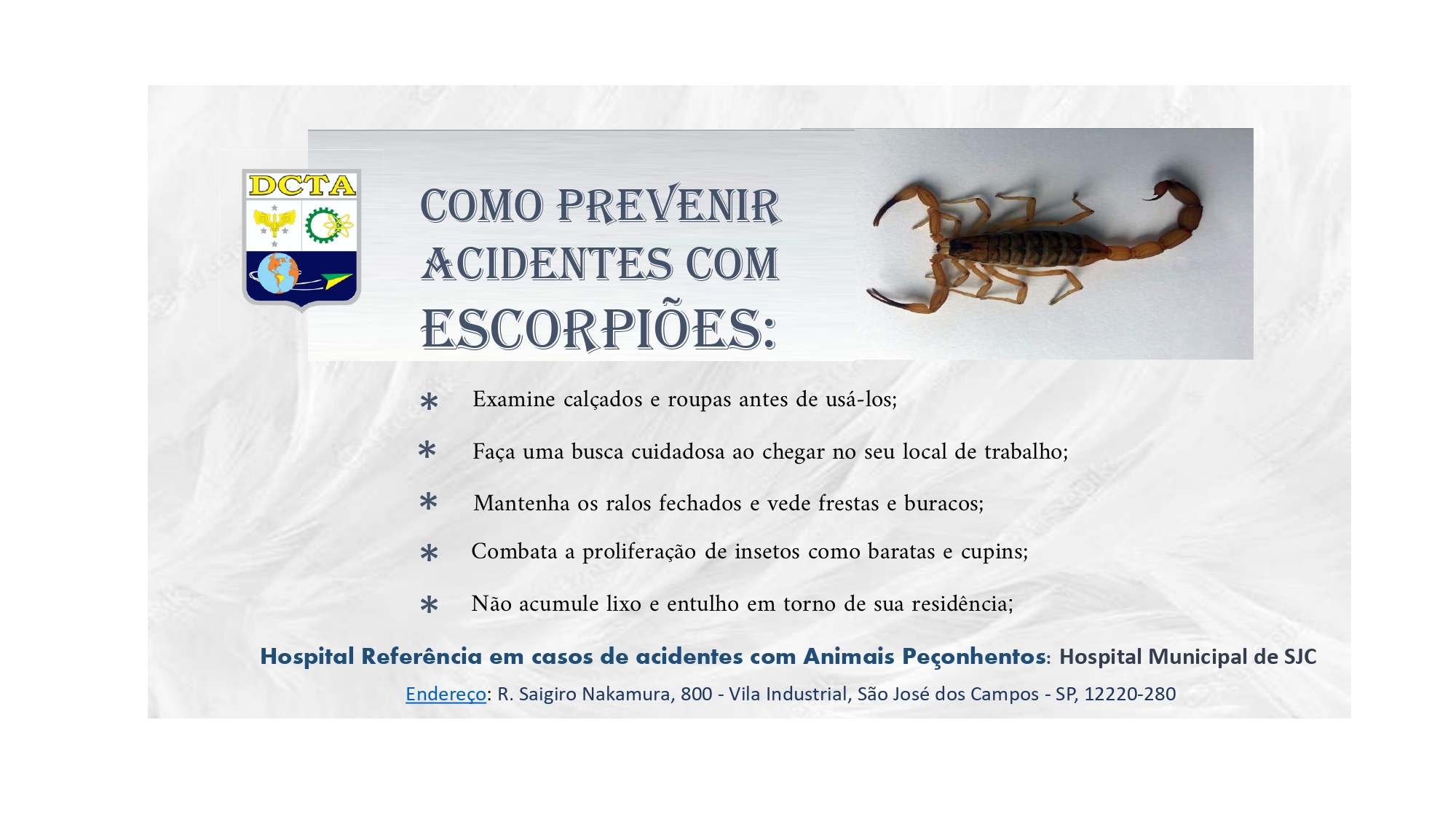 DAE 2022 Prevenção de Acidentes Escorpião Publicado1 page 0001